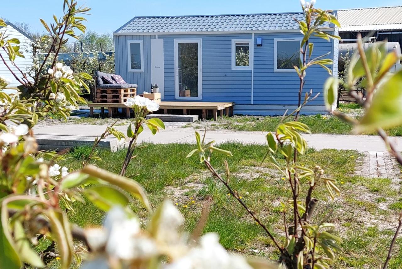 Chalet Elstar Hengstdijk Екстер'єр фото