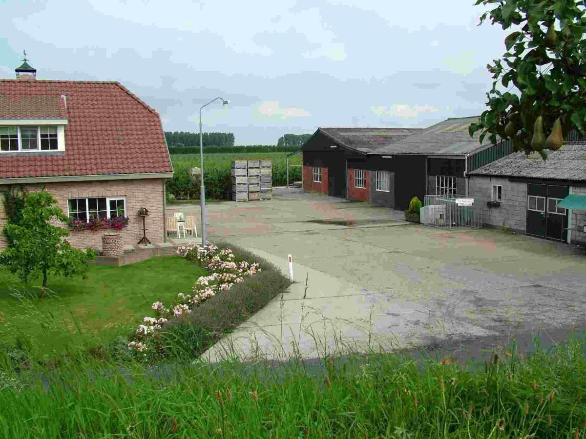 Chalet Elstar Hengstdijk Екстер'єр фото